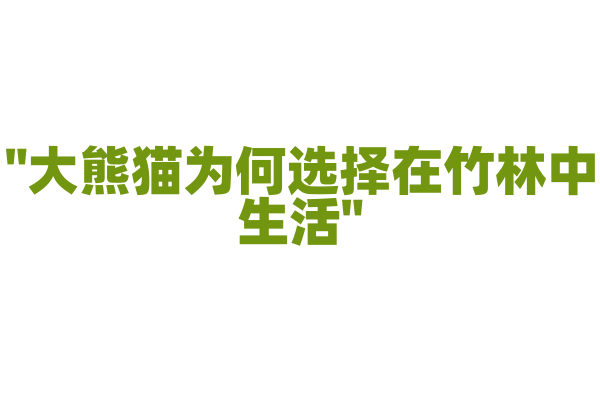 "大熊猫为何选择在竹林中生活"